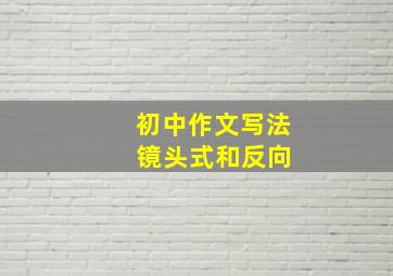 初中作文写法 镜头式和反向